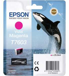Epson T7603 Magenta Vif Orque Cartouche d'encre d'origine
